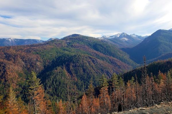 The Slater Fire Road Risk Reduction and Safety Project: A Proposal by the Rogue River-Siskiyou National Forest to Subsidize Damaging Hazard Tree Logging and Climate Polluting Biomass Utilization.