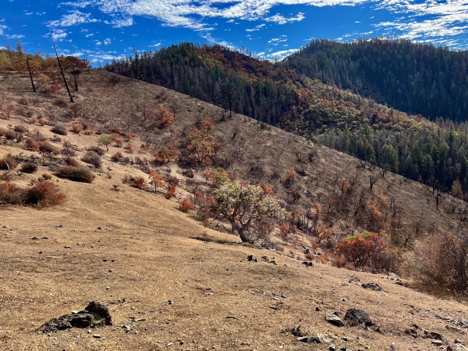 2024 Upper Applegate Fire Report