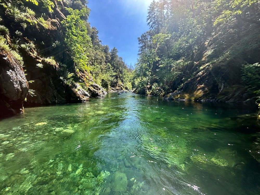 2025 Year in Review: Defending the Klamath-Siskiyou through dedicated activism, diligent litigation, and passionate advocacy