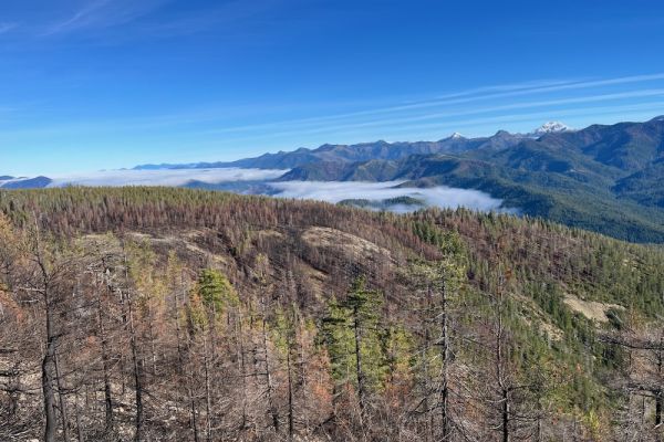 2023 Klamath-Siskiyou Fire Report: Lessons in hubris and humility in the Klamath-Siskiyou Mountains